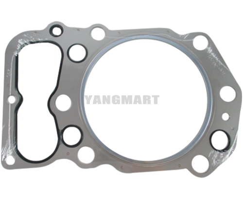 HEAD GASKET