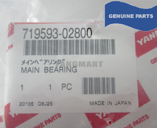 MAIN BEARING