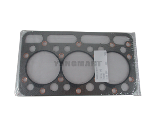 HEAD GASKET